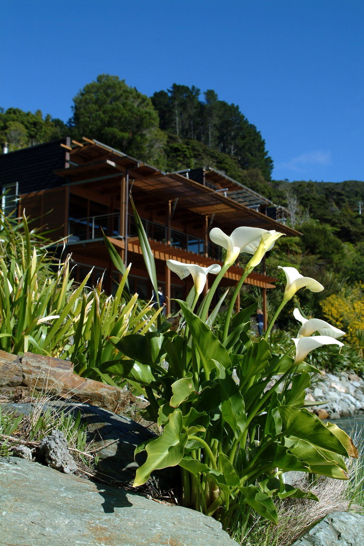 Bay Of Many Coves Hotel Arthur's Bay Exterior foto