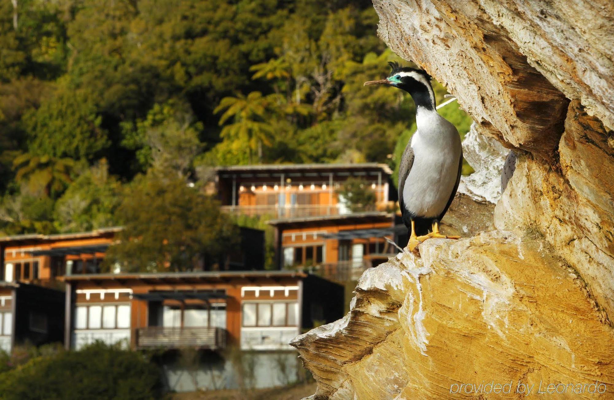 Bay Of Many Coves Hotel Arthur's Bay Exterior foto